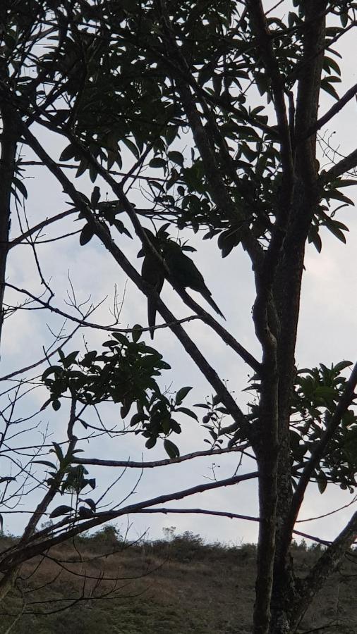 Vale Das Maritacas Teresopolis Villa Eksteriør billede