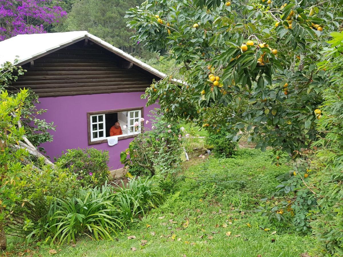 Vale Das Maritacas Teresopolis Villa Eksteriør billede